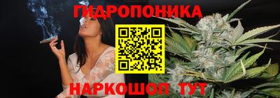 apvp Обь