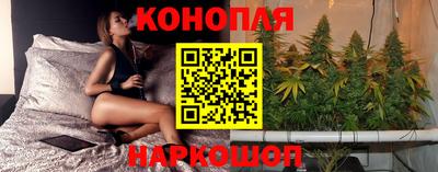 apvp Обь