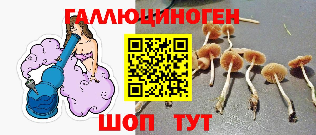 Псилоцибиновые грибы Psilocybine cubensis  Вход с VPN  Тверь  Псилоцибиновые грибы MAGIC MUSHROOMS 